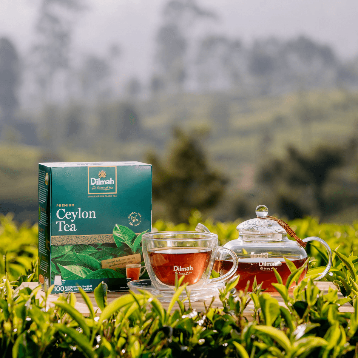 Everyday tea rituals — premium Ceylon tea