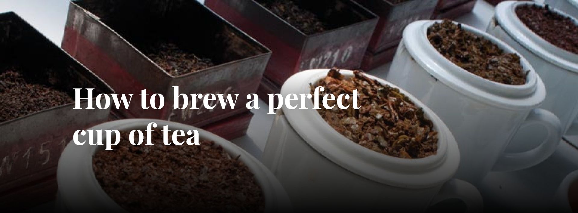 How To Make Tea  Way To Brew the Perfect Cup Of Tea