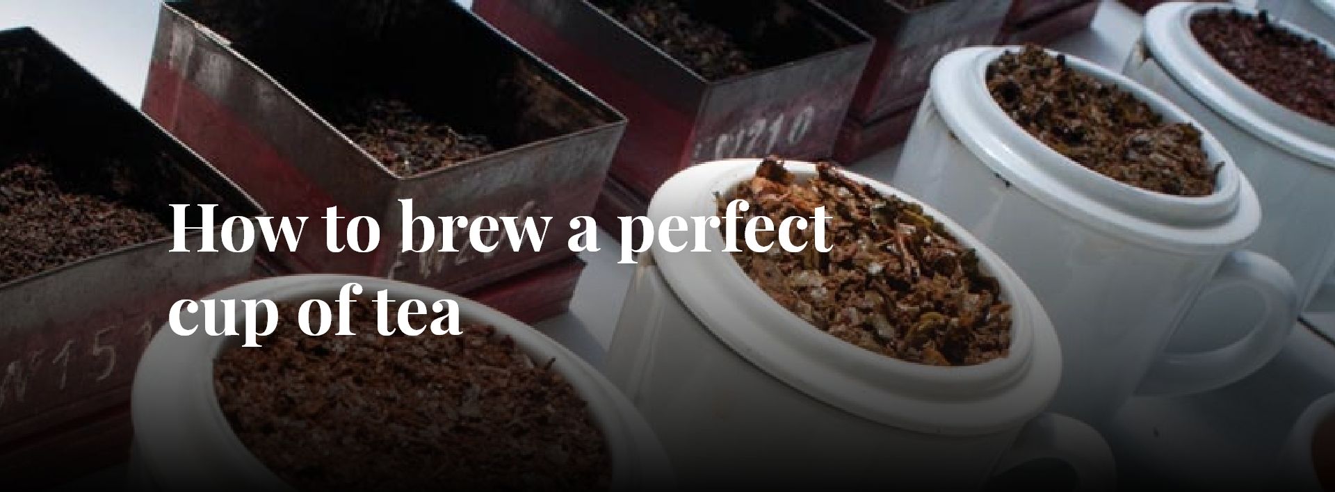 How to Brew A Perfect Cup of Tea