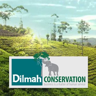 Dilmah Conservation Logo with a Background Picture of a Tea Estate