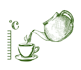 Sketch of a Pouring Tea into a Cup from a Teapot